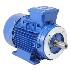 induction motor