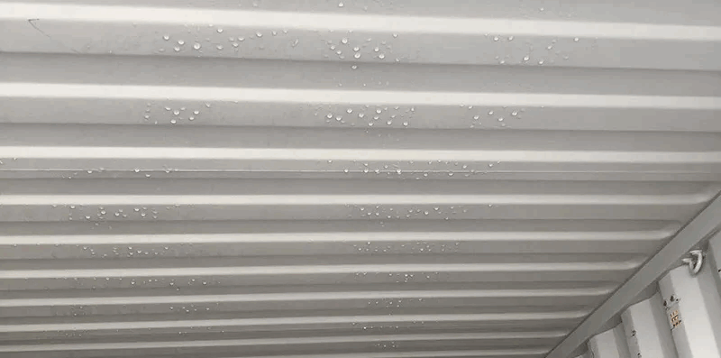 shipping container condensation